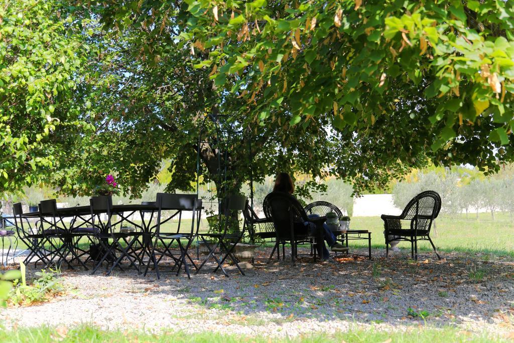 Les Tilleuls D'Elisee Bed & Breakfast Vaison-la-Romaine Exterior photo